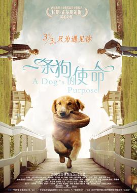 aaa在线观看高清免费