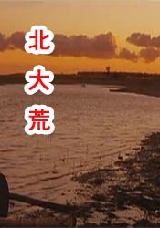 九九热精品免费
